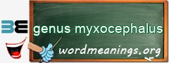 WordMeaning blackboard for genus myxocephalus